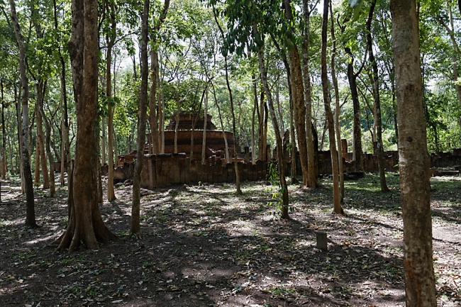 Wat Nak Jet Sein-007